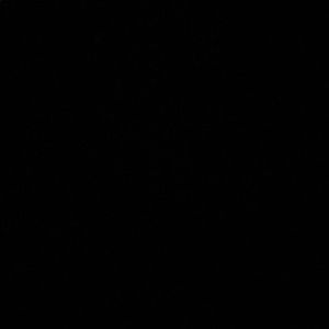 Meet your Posher, Kaylie